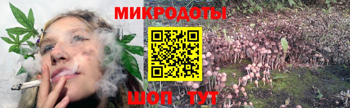 Псилоцибиновые грибы мицелий  Вход с VPN  купить наркотики сайты  Орск 